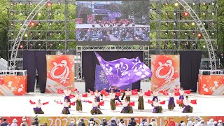 [4K] 紫陽花～しょうか～　にっぽんど真ん中祭り 2023 どまつり 日曜日