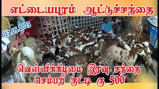 எட்டயபுரம் வெள்ளிக்கிழமை இரவு செம்பரி ஆடு சந்தை/Ettaiyapuram goat market