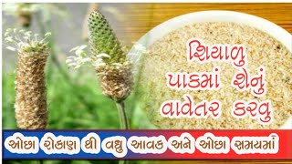 શિયાળુ પાક માટે શેનું વાવેતર કરવુ. ||ઓછા રોકાણ થી વધુ આવક અને ઓછા સમયમાં||