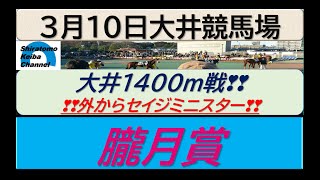 【競馬予想】朧月賞　好位からセイジミニスター！～２０２３年３月１０日 大井競馬場 ：３－１５