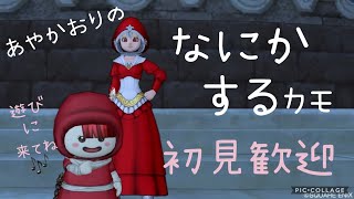 あやかおりのドラクエ１０♪深夜の遠足♪♪