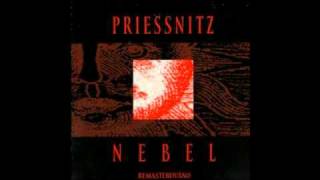 Priessnitz - Nebel