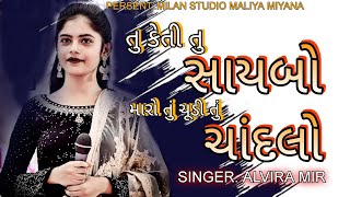 તું કેતી તું સાયબો મારો | dj love song 2023 | Alvira mir | Tu Keti tu saybo maro | #alviramir