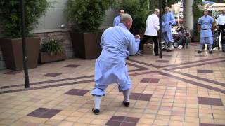 Shi Yan Xu performs Da Hong Quan at Shaolin Movie Premiere 09/09/2011 Hollywood