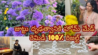 ఈ ప్యాక్ తో 100%జుట్టు రాలటాన్ని కంట్రోల్ చెయ్యొచ్చు|మీ ఎంకరేజ్మెంట్ నాకు చాలా అవసరం |poting mix