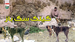 نمایش   گیلک سگ بازی میکنه