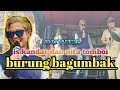 lagu daerah Jambi Burung bagumbak cover Anita tomboi Fariz music