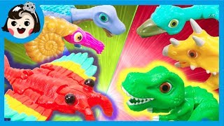 [A dda dda Toys] Dino mecard battle on 3:3,(Anomalo Ammo Salta) vs ( Micro Tyrano Tricera)