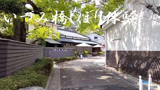 【2021/4/9】いづみ橋　直汲みしぼり体験動画