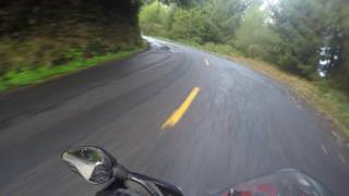 NYDUCATI West Coast: Ferndale towards Petrolia 74