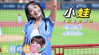 8/30 海灘之約女孩日 天母棒球場 Dragon Beauties小龍女 cutewa 小蛙 (2024年度主題曲 龍眾一心Keep Fighting 攻擊應援 張政禹 劉基鴻 )應援曲