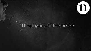 The physics of the sneeze