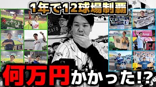 【検証】1年でNPB12球場全て周ったら総額いくらかかったのか!?