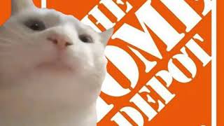 Cat Vibing To The Home Depot Theme Song