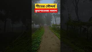 শীতের সৌন্দর্য! 🌻🖼️কুয়াশাভেজা গ্রামীণ সকাল... 🍀#গ্রামের_দৃশ্য #গ্রামীণ_দৃশ্য #শীতকালীন_গ্রামের_দৃশ্য