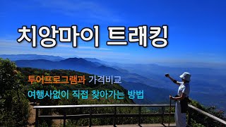 🇹🇭 치앙마이 도이 인타논 국립공원 트레킹 |  티켓팅 \u0026 찾아가는 법