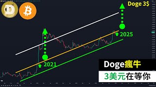 Dogecoin $3 is waiting for you! DOGE Bitcoin crazy bull market