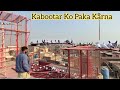 Kabootar Ko Ghar Paka Karny Ka Tarika | Hashim Mahmood Pigeons