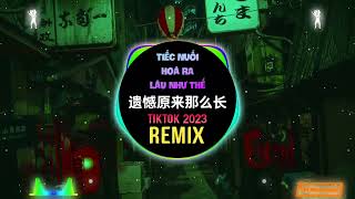 赵乃吉 - 遗憾原来那么长 (DJ楠哈哈版) Nuối Tiếc Hoá Ra Lâu Như Thế (Remix Tiktok) - Triệu Nãi Cát || Hot Douyin