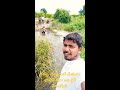 best fishing video in telugu latest fish hunting videos 2022