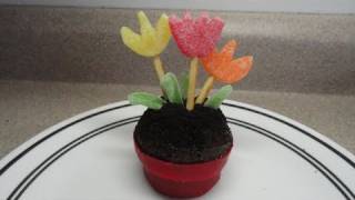 Decorating Cupcakes: #32 Flower Pot and Flowers