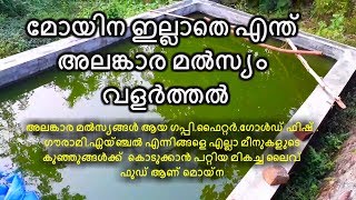 മോയിന കൾച്ചർ ചെയ്യാം - How to culture Moina in home (Malayalam)