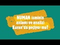 NUMAN İsminin Anlamı ve Analizi Nedir?