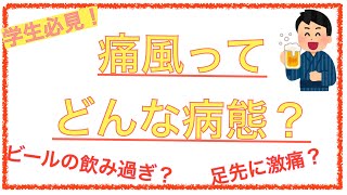 教科書をわかりやすく！「痛風ってどんな病態？」