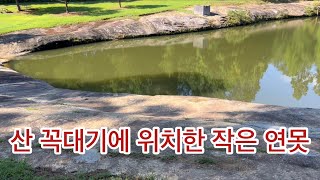 산 정상에 위치한 작은 연못 - 마치 작은 백록담을 연상케 하다…