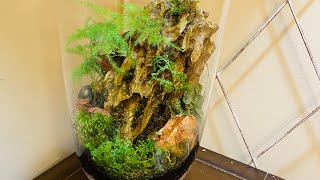 Moss and fern garden in a tall apothecary jar, mossarium with dragon stone accent