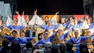 [4K] 神戸大学よさこいチーム山美鼓　龍馬よさこい 2019 2日目 (中央)