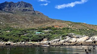 A Beautiful 13 km light Downwind from Oudekraal  in a SW wind - Cape Town