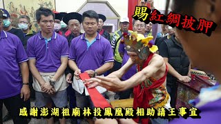 20200405崙頂威靈殿賜澎湖祖廟林投鳳凰殿主委紅綢披胛相助請王事宜