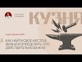 Кузня. Выпуск 39. Как найти свое место в жизни и определить что действительно важно