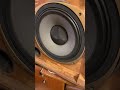 tannoy super red monitor