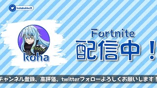 【フォートナイト】ブラジルソロキャッシュ決勝