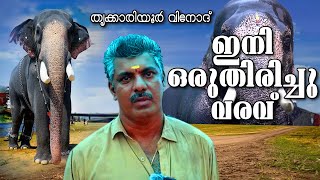 MALAYALAM VLOGS | VINOD THRIKKARIYOOR | KERALA ELEPHANT TRAINER