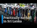 Fuel shortage: Every day has become a battle for survival in Sri Lanka | DW News