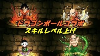 【パズドラ】[スキル上げ] ドラゴンボールコラボガチャスキルレベル上げ(スキルLvUP2倍時)