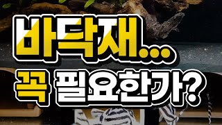 바닥재 없어도 물고기 잘 살아!｜바닥재는 어종 수초 여과기에 따라서 다르다!