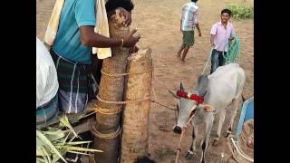 E M K JALLIKATTU