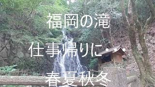 仕事終わりに滝へ うきは市 調音の滝　【 九州　福岡観光スポット 】