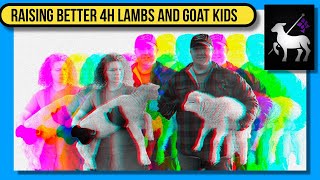 Help With 4H Sheep and Goats | 4 Tips For Growth