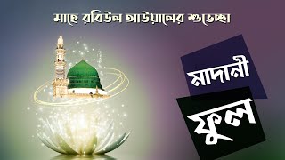 Madani Phool┆মাহে রবিউল আউয়ালের শুভেচ্ছা┆Miladunnabi Shuvechcha┆Madani Channel Bangla