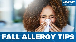 Tips for dealing with fall allergies