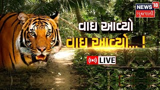 LIVE: Mahisagar News | વાઘ આવ્યો વાઘ | Tiger In Gujarat Again | Gujarat Video | News18 Gujarati