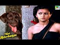 बेशरम कुत्ता लड़कियों को नहाते हुए देखते रहता है - Jackie Shroff, Poonam Dhillon - Teri Meherbaniyaan