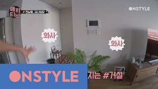 AttractionTV [김나영TV] 식물로 화사하게 집 꾸미기 #식물잘키우는법?! 160523 EP.12