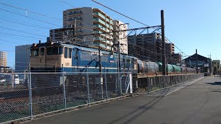 【2024/02/28･宇都宮線を走る貨物列車2本】新白岡駅を通過していく8685ﾚ(下り 千葉貨物→宇都宮タ･EF65 2088牽引)/8586ﾚ(上り 宇都宮タ→川崎貨物･EF210-120牽引)