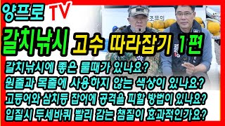 고수들도 가끔 알고 싶어지는 갈치이야기-갈치낚시 노하우 1편